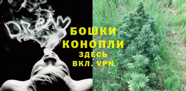 шишки Кукмор
