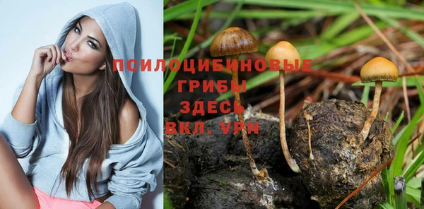 шишки Кукмор