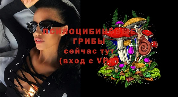 бошки Кулебаки