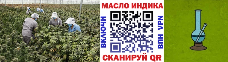 Купить закладки  Злынка  ТГК THC oil 