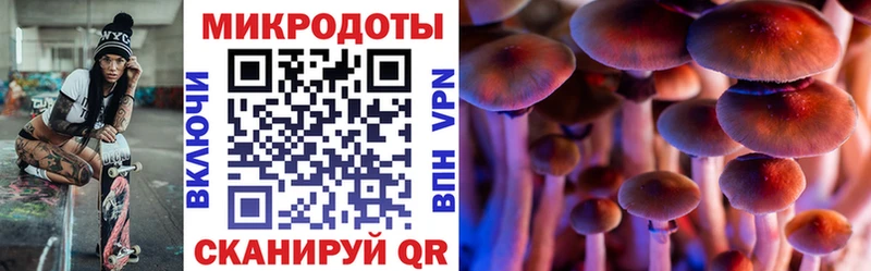 Купить  Злынка  Псилоцибиновые грибы Magic Shrooms 