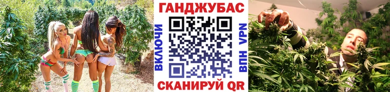 Купить закладки  Злынка  Канабис THC 21% 